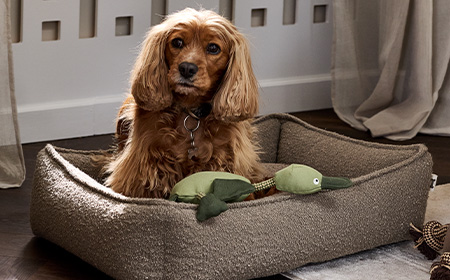 Confort, jeu et essentiels du quotidien: découvrez la collection d'animaux de compagnie pour chiens de JYSK