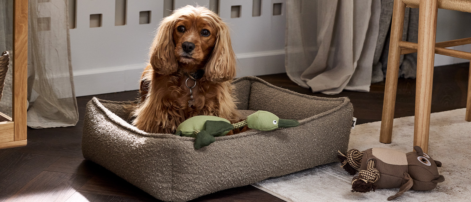 Chien mignon se détendant dans un panier pour chien moelleux et élégant, avec des jouets pour chiens dans le salon