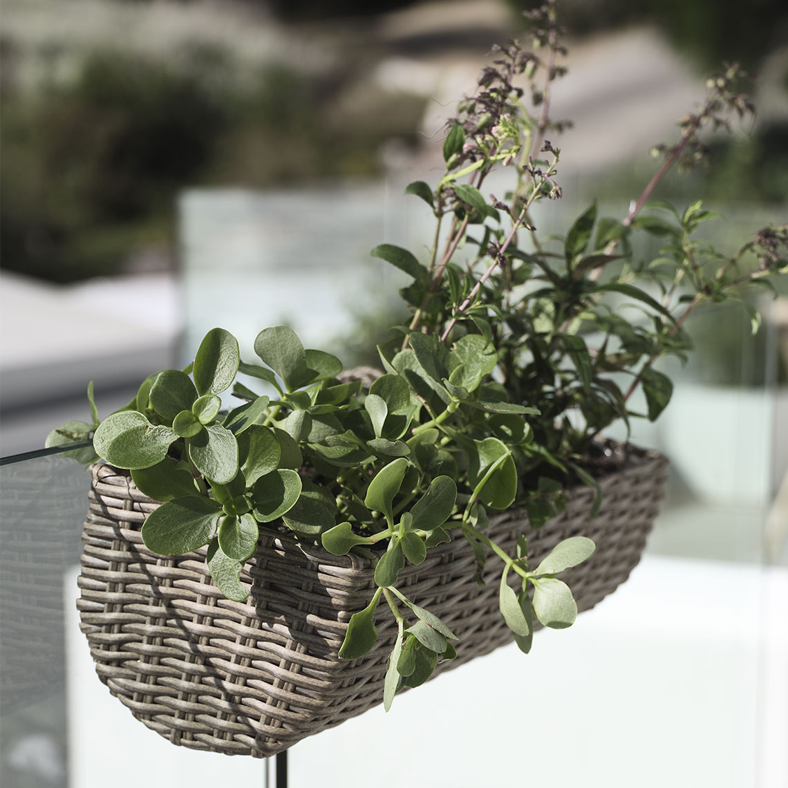 Balkonbak in polyrattan hangend op een balkon met planten