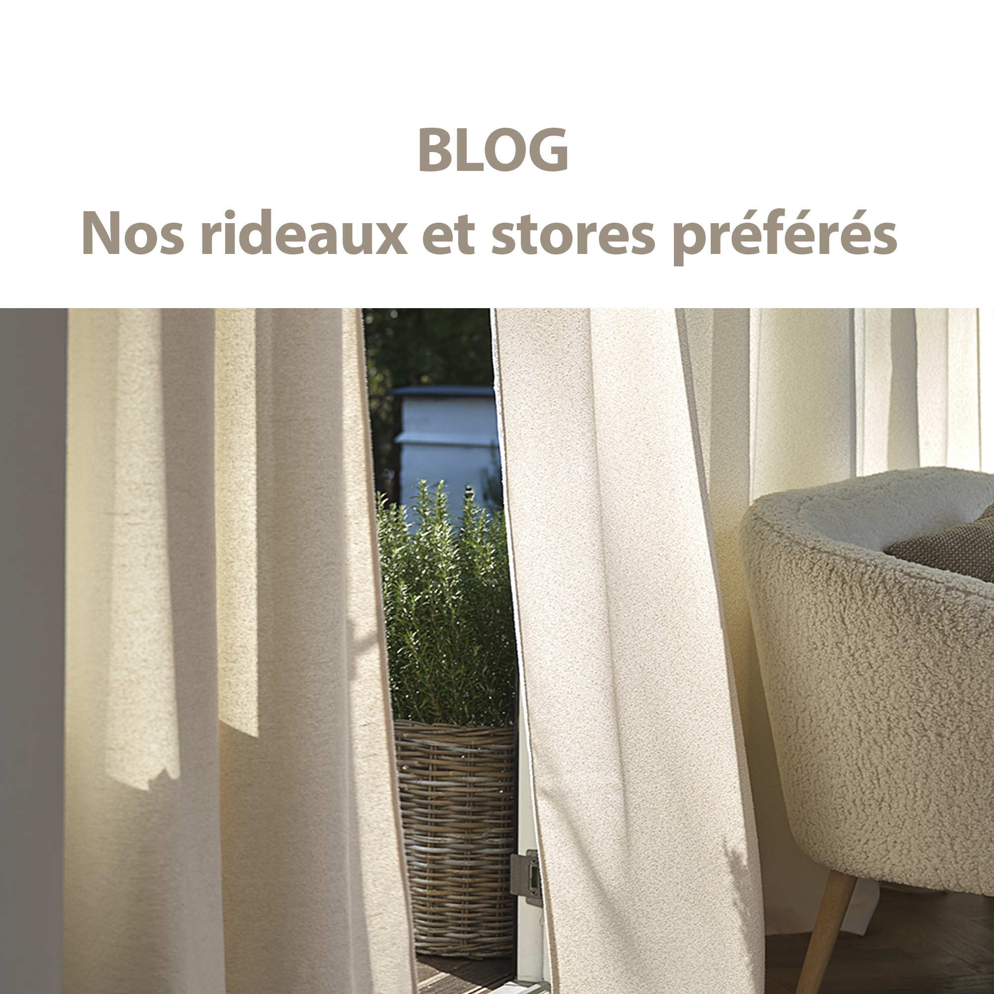 blog