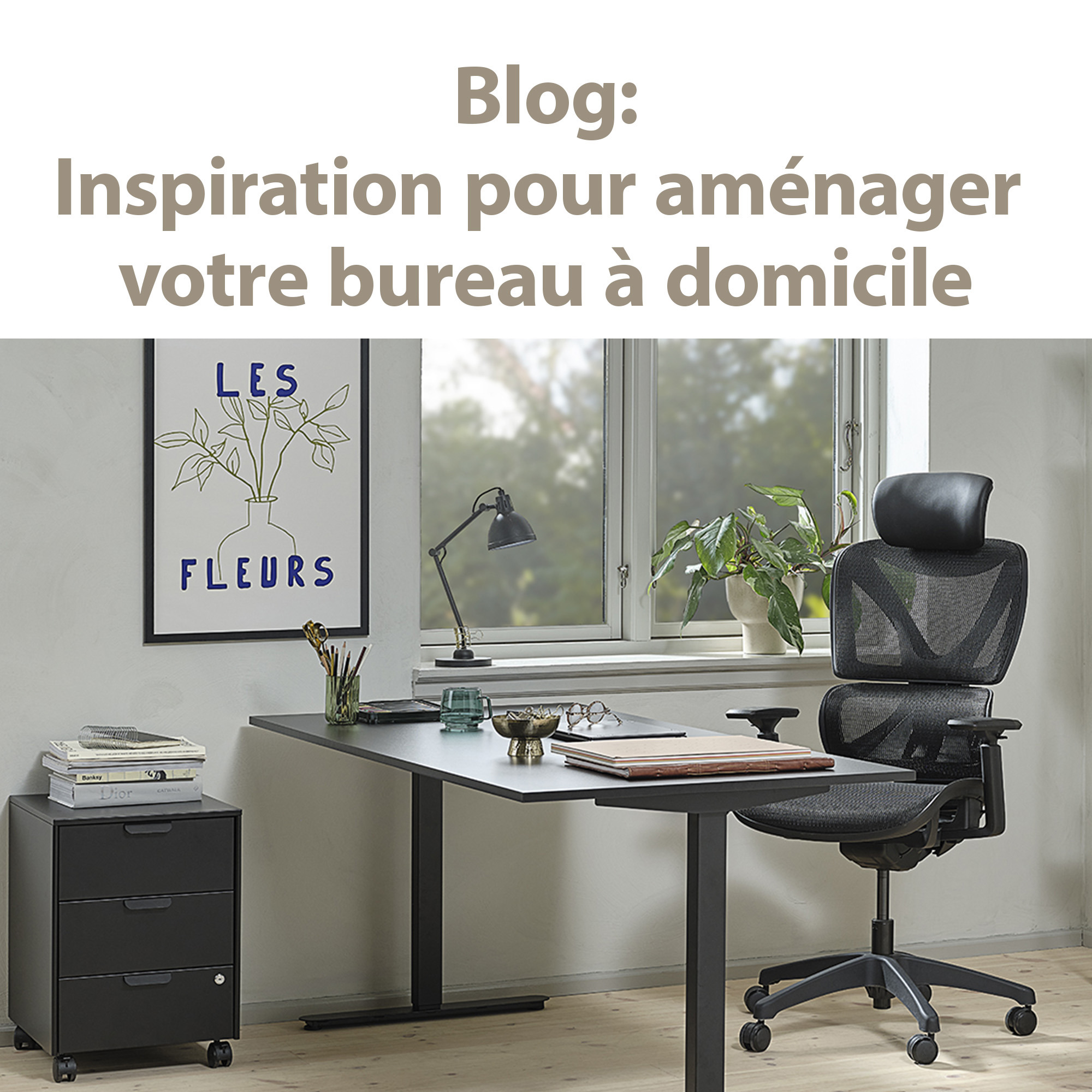 blog Juni JYSK