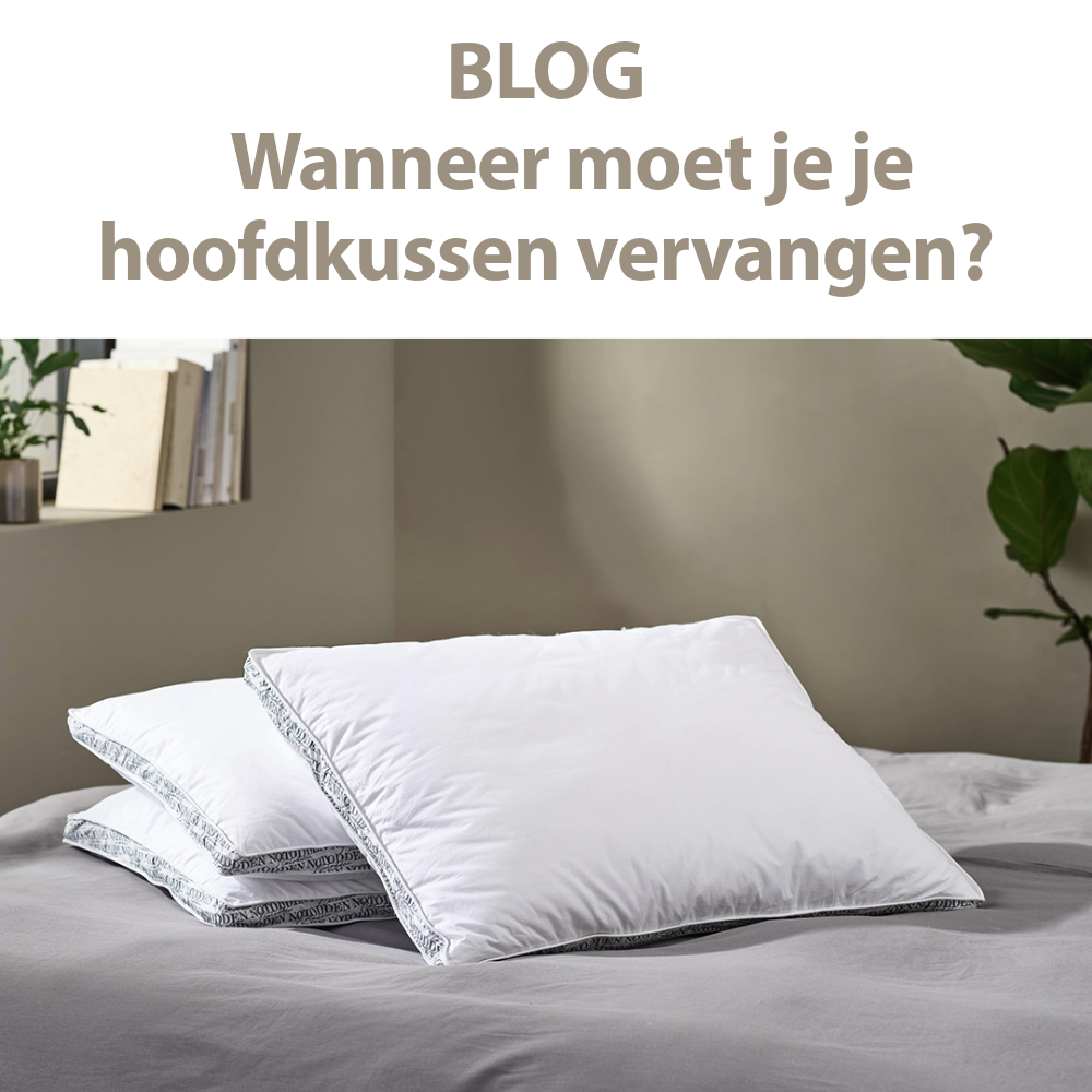 Blog hoofdkussen vervangen