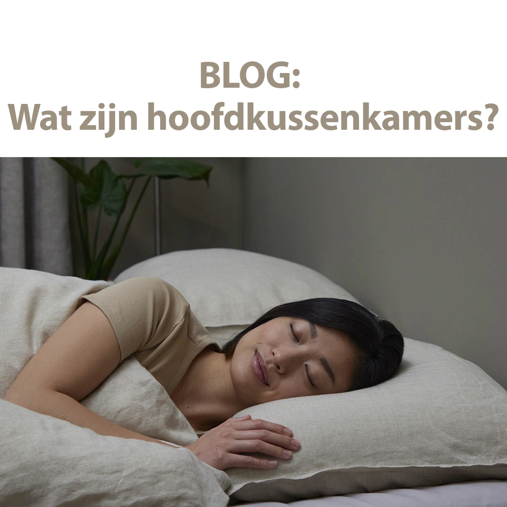 Blog wat zijn hoofdkussenkamers