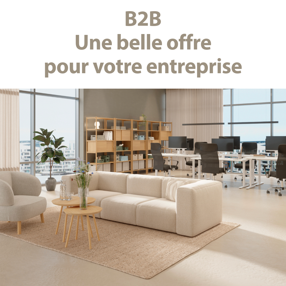 B2B | Une belle offre pour votre entreprise 