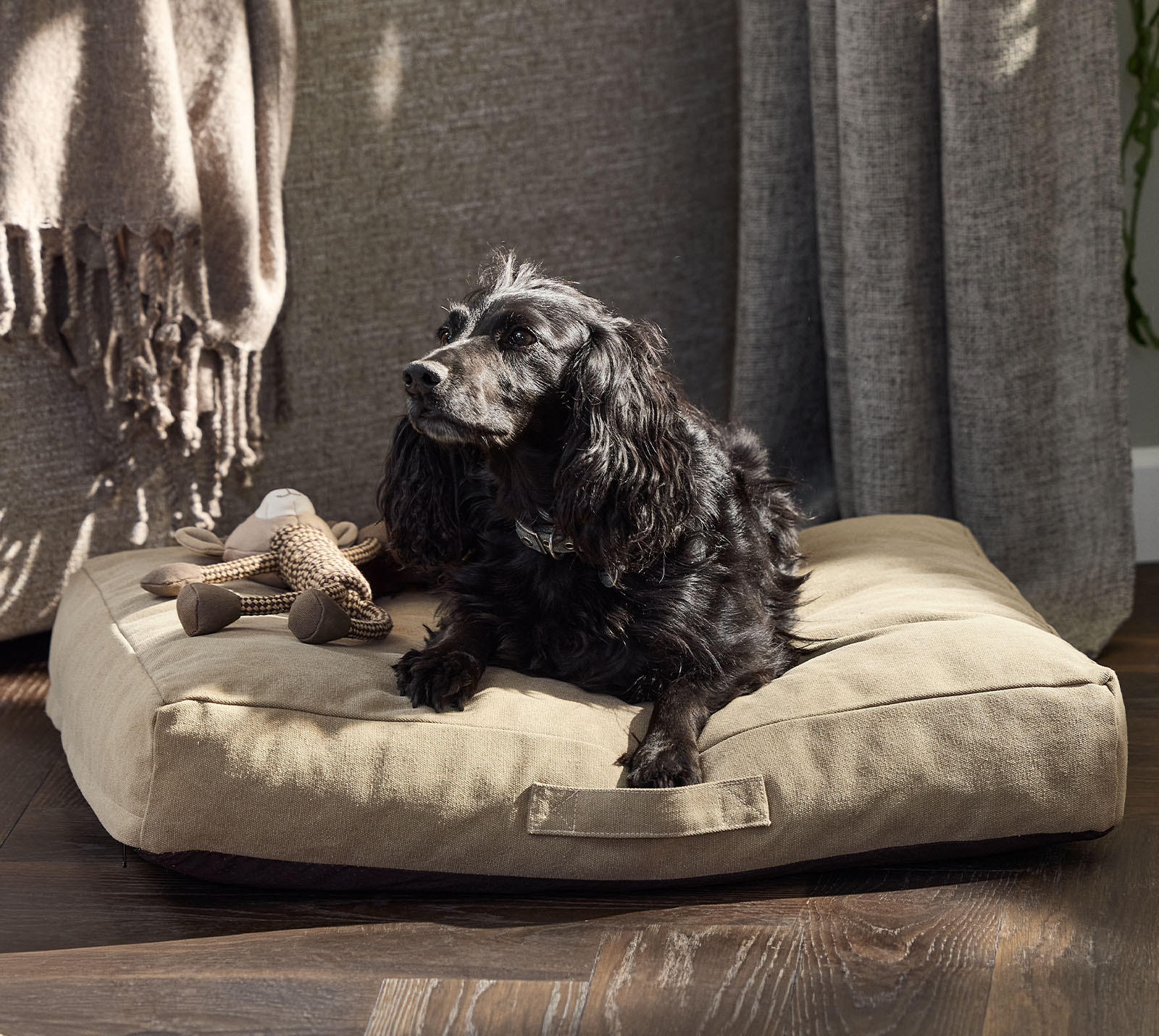 Panier confortable pour chien avec rembourrage en mousse à mémoire de forme, de couleur kaki, avec un chien noir.