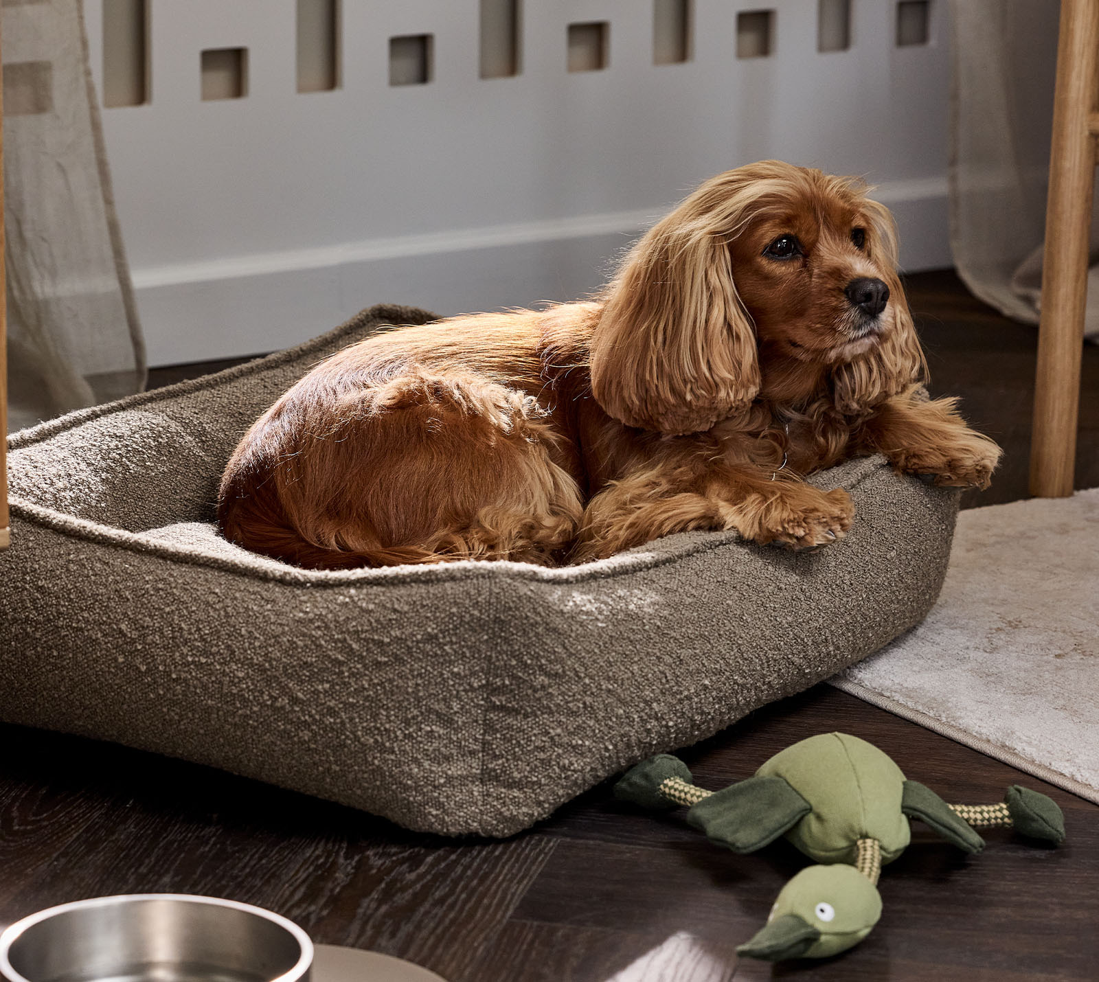 Panier pour chien effet bouclé dans une teinte brun-vert clair, avec un chien couleur fauve et des jouets pour chien