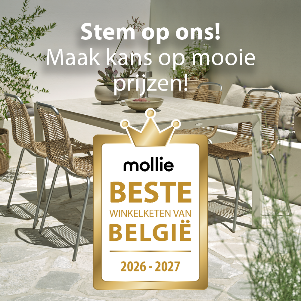 stem & win