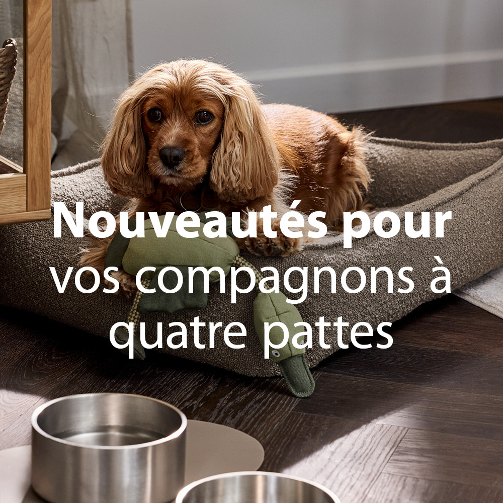 nouveautés