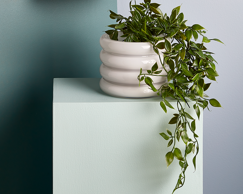 TORALF bloempot met kunstplant OLIVER Kunstplant in een witte bloempot