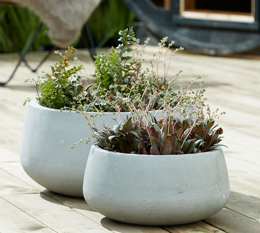 Groene bloemnakken op een terras