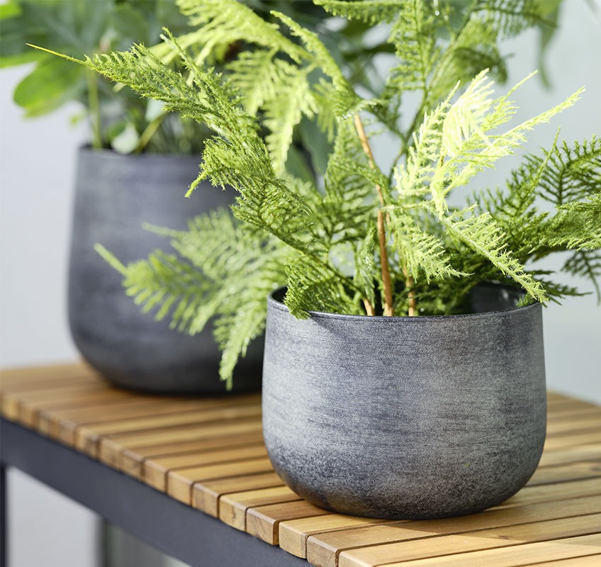Garden planter with green plant placed on wooden bench